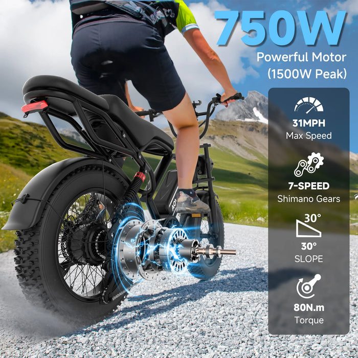AOVOPRO AP20 Electric Bike for Adults 20 X 4.0 Fat Tire