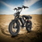 AOVOPRO AP20 Electric Bike for Adults 20 X 4.0 Fat Tire